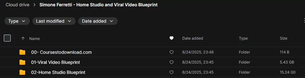 Simone Ferretti - Home Studio and Viral Video Blueprint